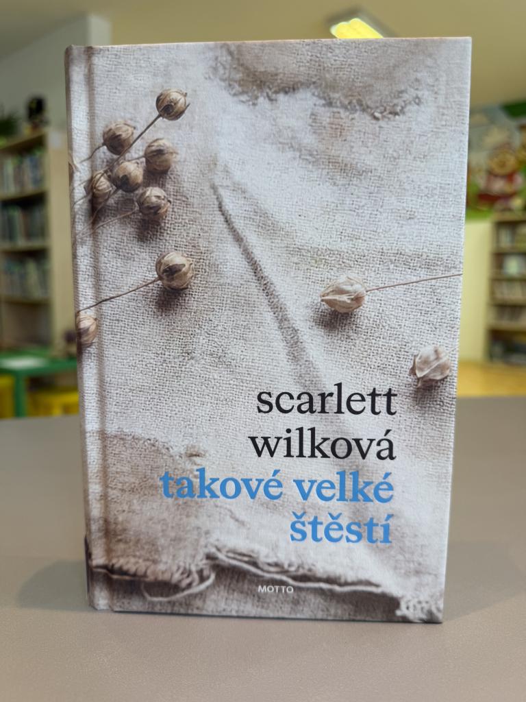 Novinka v knihovně